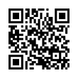 QR Code (код быстрого отклика)