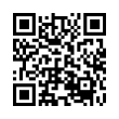 QR Code (код быстрого отклика)