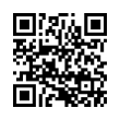 QR Code (код быстрого отклика)