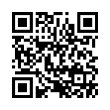 QR Code (код быстрого отклика)