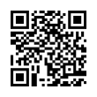 QR Code (код быстрого отклика)