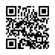 QR Code (код быстрого отклика)