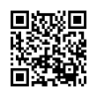 QR Code (код быстрого отклика)