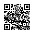 QR Code (код быстрого отклика)