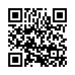 QR Code (код быстрого отклика)