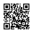 QR Code (код быстрого отклика)