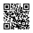 QR Code (код быстрого отклика)