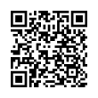 QR Code (код быстрого отклика)