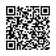 QR Code (код быстрого отклика)