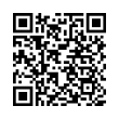 QR Code (код быстрого отклика)