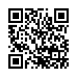 QR Code (код быстрого отклика)