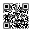 QR Code (код быстрого отклика)