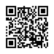 QR Code (код быстрого отклика)