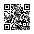 QR Code (код быстрого отклика)