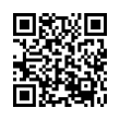 QR Code (код быстрого отклика)