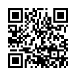 QR Code (код быстрого отклика)