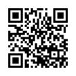 QR Code (код быстрого отклика)