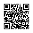 QR Code (код быстрого отклика)