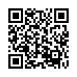 QR Code (код быстрого отклика)