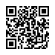 QR Code (код быстрого отклика)