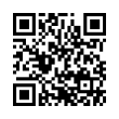 QR Code (код быстрого отклика)