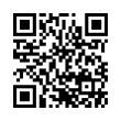 QR Code (код быстрого отклика)