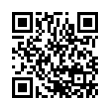 QR Code (код быстрого отклика)