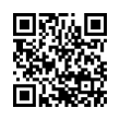 QR Code (код быстрого отклика)