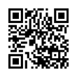 QR Code (код быстрого отклика)