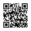 QR Code (код быстрого отклика)