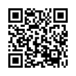 QR Code (код быстрого отклика)