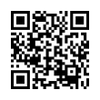 QR Code (код быстрого отклика)