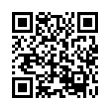 QR Code (код быстрого отклика)