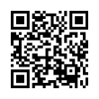 QR Code (код быстрого отклика)