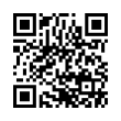 QR Code (код быстрого отклика)