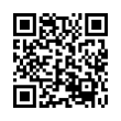 QR Code (код быстрого отклика)