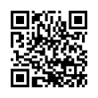 QR Code (код быстрого отклика)