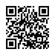 QR Code (код быстрого отклика)