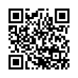 QR Code (код быстрого отклика)