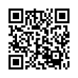 QR Code (код быстрого отклика)