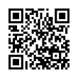 QR Code (код быстрого отклика)