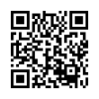 QR Code (код быстрого отклика)