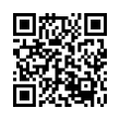 QR Code (код быстрого отклика)