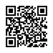 QR Code (код быстрого отклика)