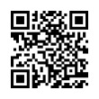 QR Code (код быстрого отклика)