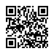 QR Code (код быстрого отклика)