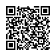 QR Code (код быстрого отклика)