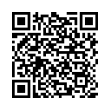 QR Code (код быстрого отклика)