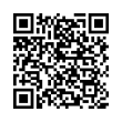 QR Code (код быстрого отклика)