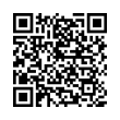 QR Code (код быстрого отклика)